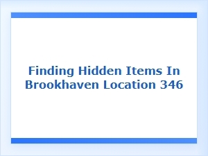 Discovering Hidden Items at Brookhaven Location 346
