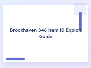 A Guide to the Brookhaven 346 Item Id Exploit