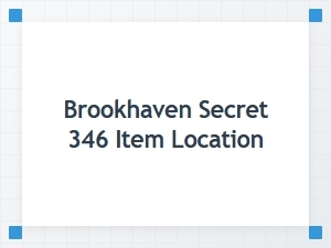 The Secret Brookhaven Item 346 Location Guide